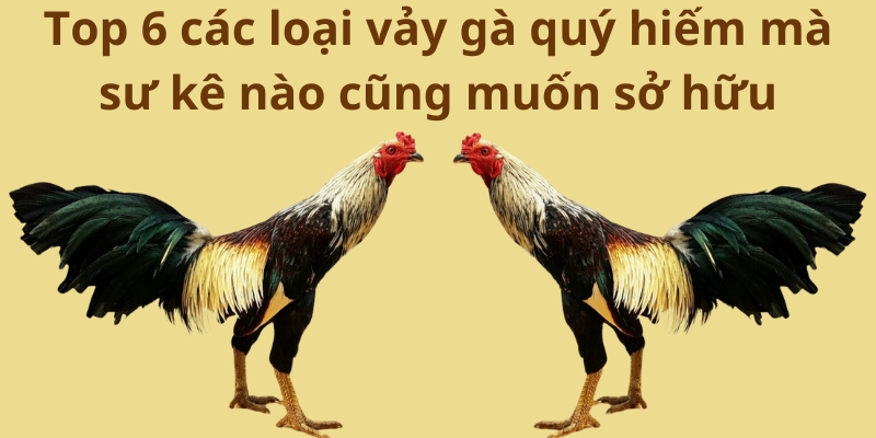 Top 6 các loại vảy gà quý hiếm mà sư kê nào cũng muốn sở hữu