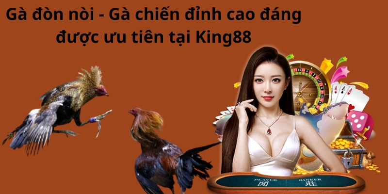 Gà đòn nòi - Gà chiến đỉnh cao đáng được ưu tiên tại King88