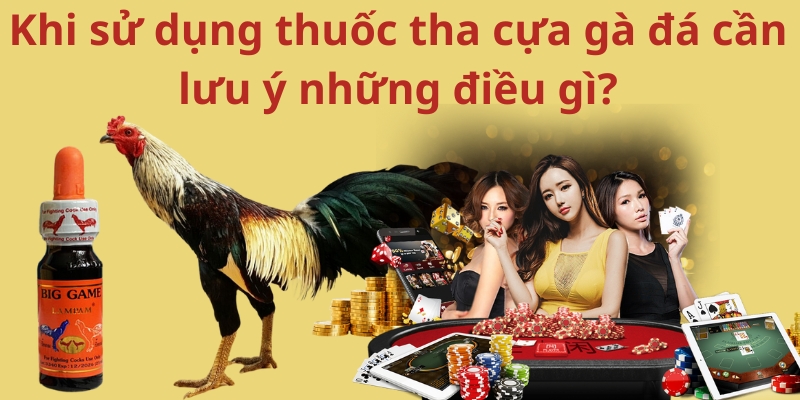 Khi sử dụng thuốc tha cựa gà đá cần lưu ý những điều gì?