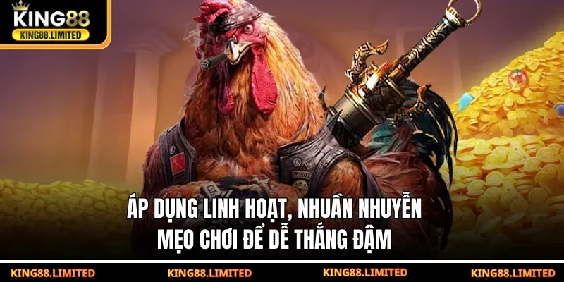 Đá Gà Thomo - Cơ Hội Thắng Khủng Mỗi Ngày Tại KING88 Áp dụng linh hoạt, nhuần nhuyễn mẹo chơi để dễ thắng đậm