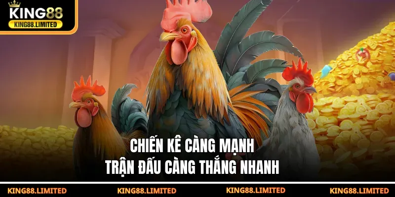 Chiến kê càng mạnh, trận đấu càng thắng nhanh