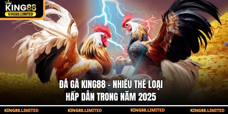 Đá gà King88 - Đa thể loại đặt cược hấp dẫn