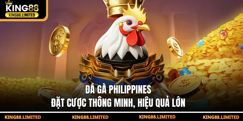 Đá gà Philippines - Đặt cược thông minh hiệu quả lớn