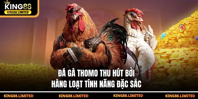 Đá Gà Thomo - Cơ Hội Thắng Khủng Mỗi Ngày Tại KING88 Đá gà Thomo thu hút bởi hàng loạt tính năng đặc sắc