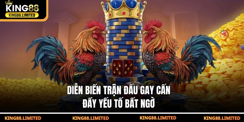 Đá Gà Thomo - Cơ Hội Thắng Khủng Mỗi Ngày Tại KING88 Diễn biến trận đấu gay cấn, đầy yếu tố bất ngờ