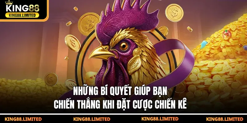 Những bí quyết giúp bạn chiến thắng khi đặt cược chiến kê