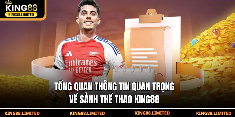 Tổng quan thông tin quan trọng về sảnh thể thao KING88