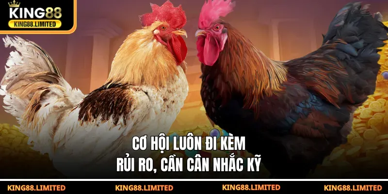 Đá Gà SV128 – Phân Tích Cơ Hội, Rủi Ro Trong Từng Trận Đấu Cơ hội luôn đi kèm rủi ro, cần cân nhắc kỹ