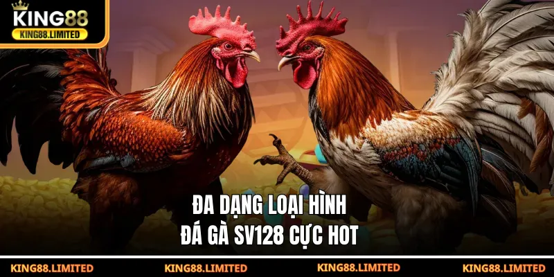 Đá Gà SV128 – Phân Tích Cơ Hội, Rủi Ro Trong Từng Trận Đấu Đa dạng loại hình đá gà SV128 cực hot