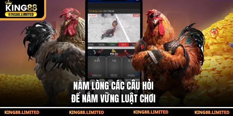 Đá Gà WS168 - Kịch Tính Với Tỷ Lệ Thắng Lớn Tại KING88 Nằm lòng các câu hỏi để nắm vững luật chơi