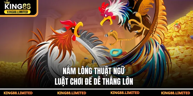 Đá Gà SV128 – Phân Tích Cơ Hội, Rủi Ro Trong Từng Trận Đấu Nằm lòng thuật ngữ, luật chơi để dễ thắng lớn