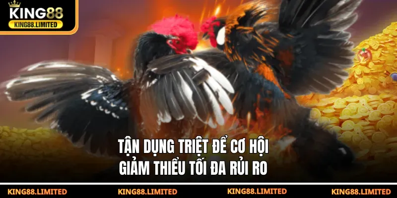 Đá Gà WS168 - Kịch Tính Với Tỷ Lệ Thắng Lớn Tại KING88 Tận dụng triệt để cơ hội, giảm thiểu tối đa rủi ro